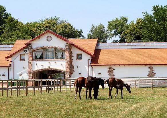visnjica.hr – Hotel – Ergela – Farma