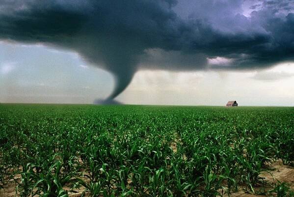 Photo of a tornado touching down in a corn field.