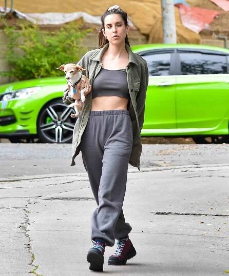 Scout Willis