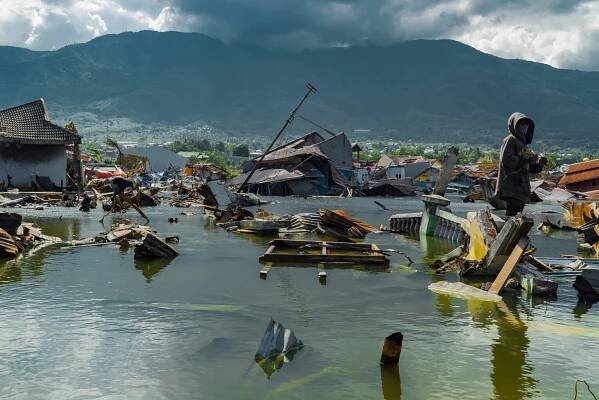 Disaster recovery | Global Advisory Panel