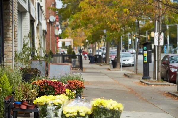 A street near Humber Bay Shores, ON