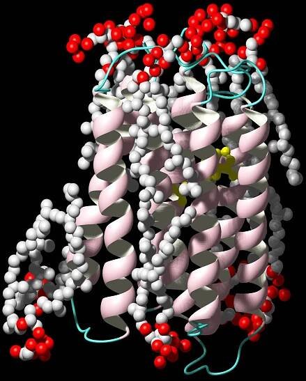 Receptor World(tm)