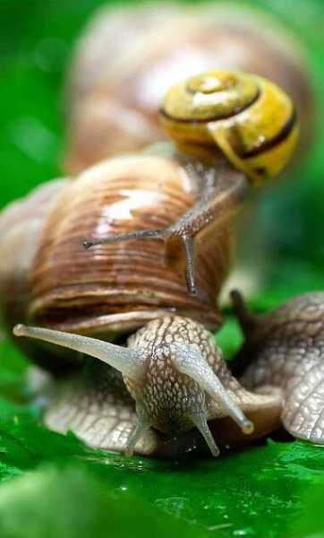 Sklep internetowy MediaSklep24.pl