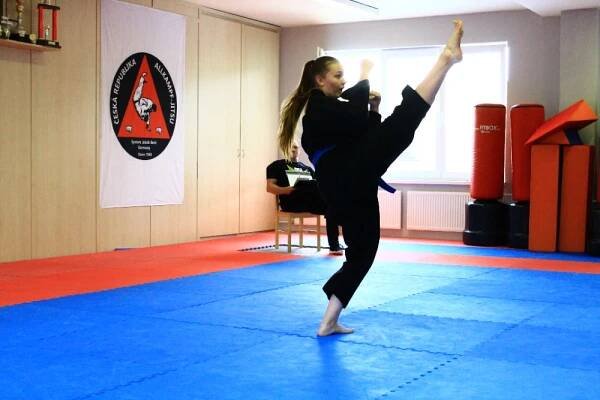 24. Mistrovství České republiky v sebeobraně Allkampf Jitsu