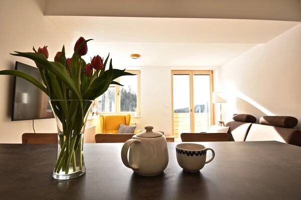 Slunečný apartmán, Černý Důl | Hotel.cz