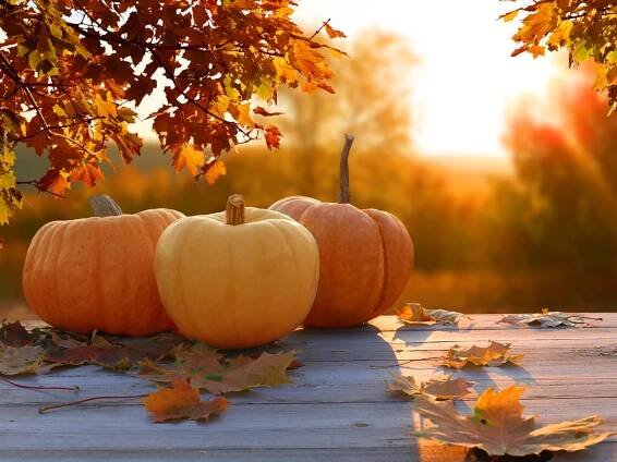 Fall Self-Care Tips