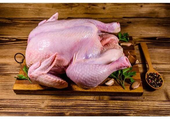 iStock 1254561376NCrgVi