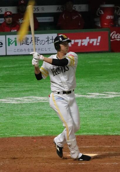 Go Kamamoto