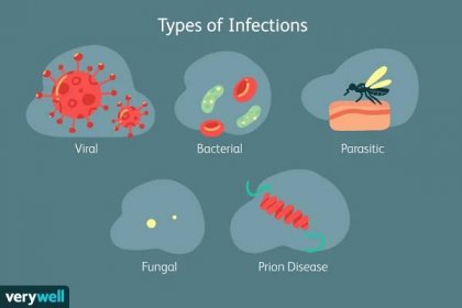 An Overview of Infection