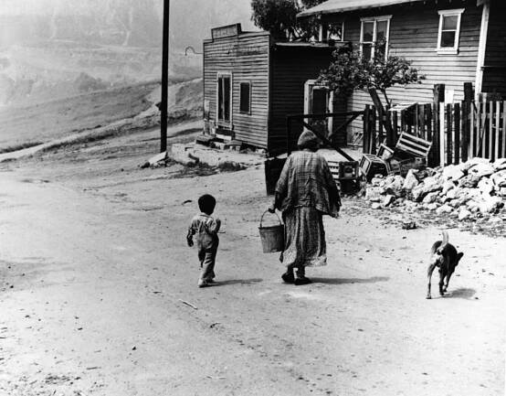 A person in a long dress carries a pail as a small child and dog walk nearby on a dirt road.