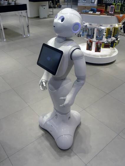Aldebaran Robotics