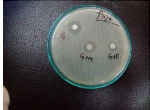 Fig. 6. Evaluation of microbial study of Gemifloxacin with essential metals 
