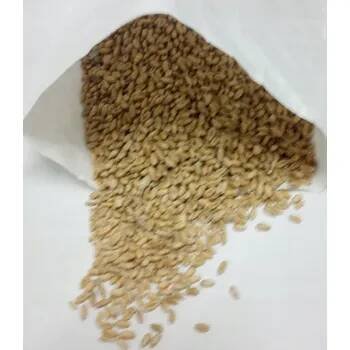 Pšenice obecná zrno 1kg