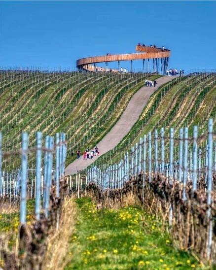 Vinařství Vajbar Kobylí - Kobylí 877, Kobylí, Česko | MojeLahve.cz
