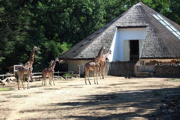 Zoo Lešná Zlín
