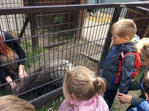 Cestujeme do ZOO - Mateřská škola Dušníky