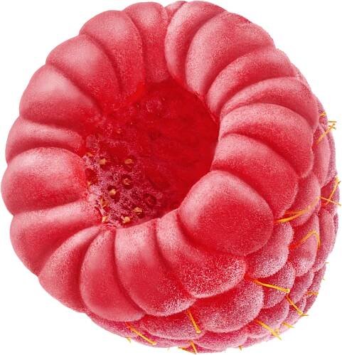 Raspberry 