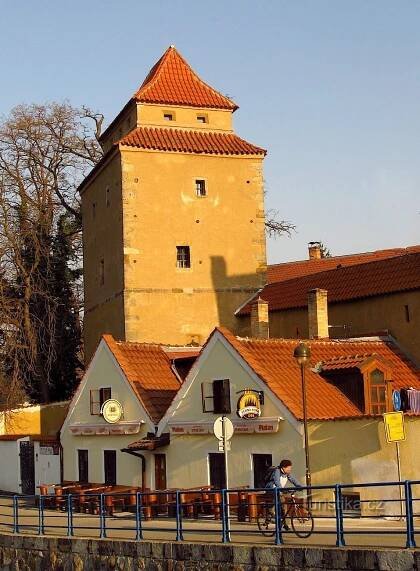 České Budějovice - Železná... - Rychta