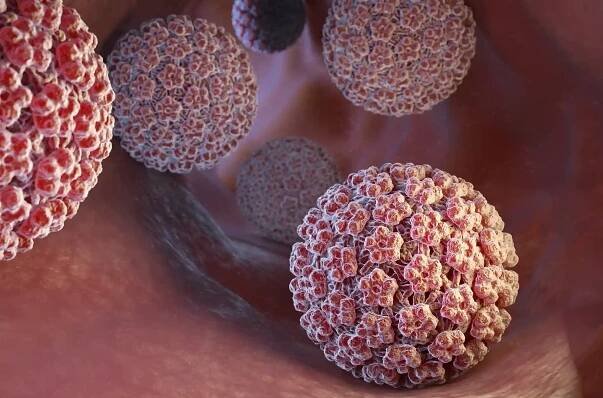 HPV Virus