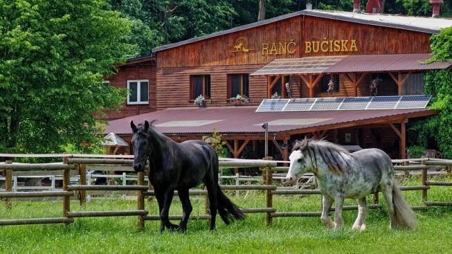 Ranč Bučiska v Rožnově – Ubytování s nádhernými koňmi