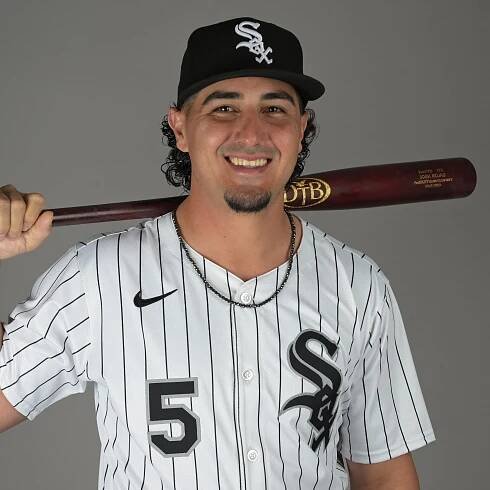 White Sox reinstate Josh Rojas from IL, DFA Bobby Dalbec