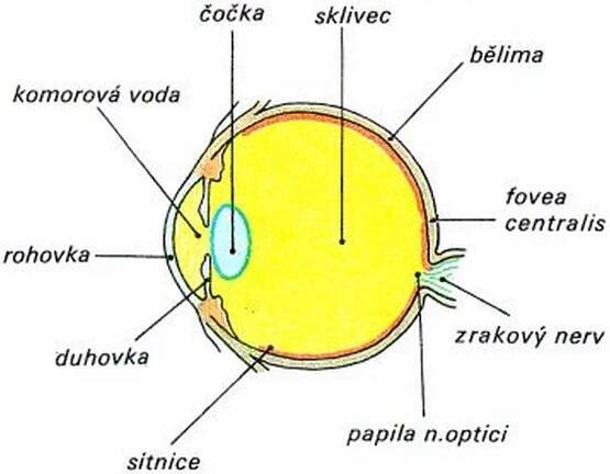 Pokusy z fyziky