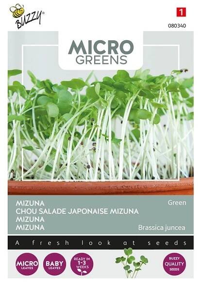 Mizuna Green - semena na klíčky Microgreens  Semena Buzzy ®