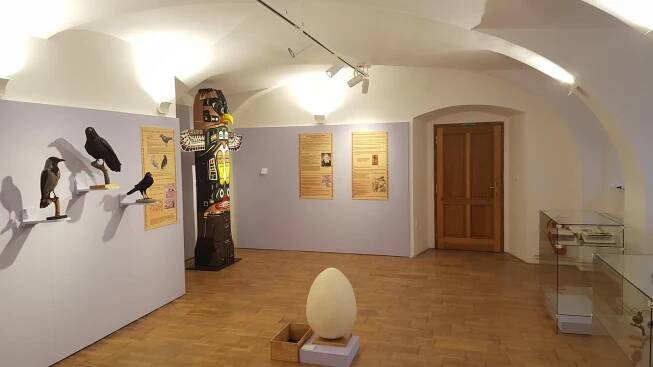 Muzeum Šlapanice - Light up