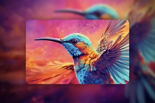 Adobe Firefly: 1.1 | Úvod