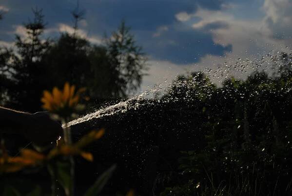 Canon eon 1200 d #2