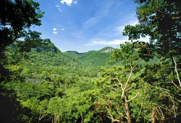 Cayo, Belize
