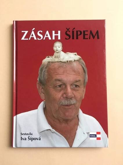 Zásah Šípem, 2010.