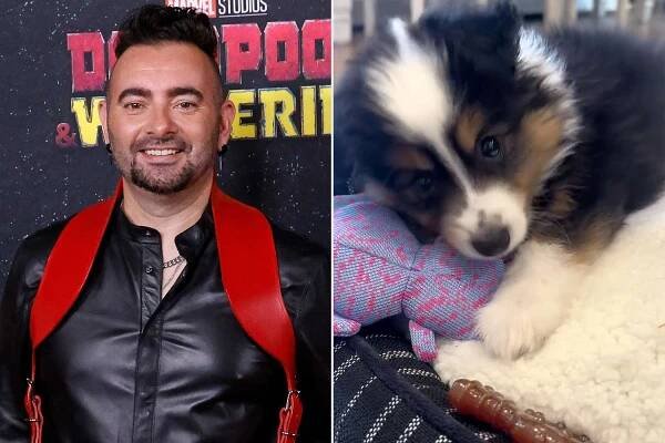 *NSYNC's Chris Kirkpatrick Names New Puppy Slim Shady 23 Years After Eminem's 'Without Me' Diss