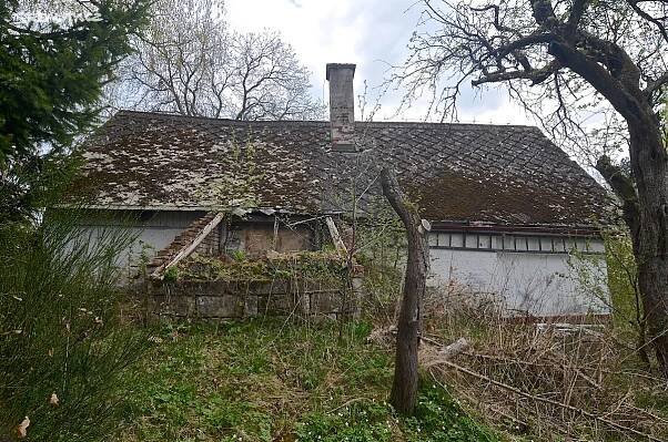 Prodej Pozemek, Doubravice, okres Trutnov
