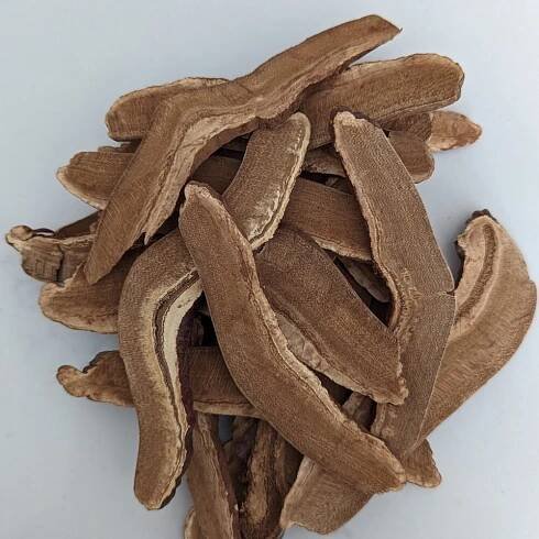 Dried Reishi Mushrooms | Ganoderma lucidum | Functional Tea & Tonic Fungi