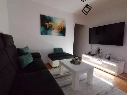TV a/nebo společenská místnost v ubytování Apartman Lamela