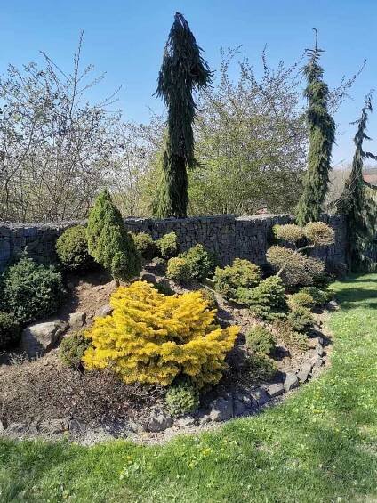 Miniarboretum U Holubů ve Staříči.