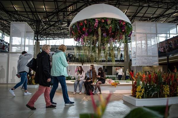 OBRAZEM: Jarní Flora začala, láká davy. Takto to vypadá v pavilonu i kolem