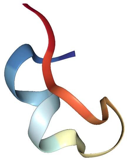 1015 - Endothelin 2 #4