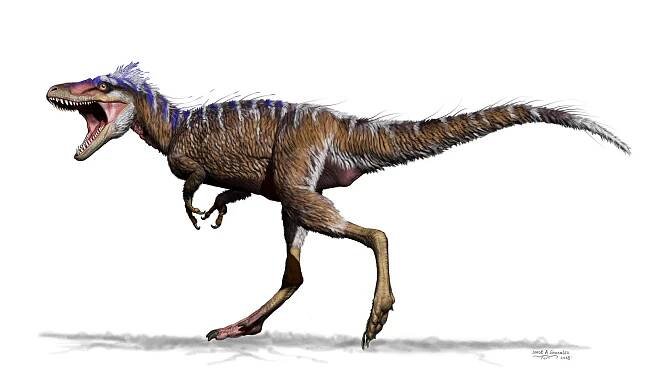 Tiny Tyrannosaur Hints at How T. Rex Became King