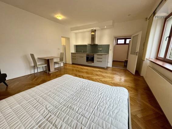 Pronájem hezkého bytu 1+kk, ul. Horní, Brno - Štýřice (Červený kopec), CP 35 m 2 , klidné a bezpečné bydlení v prestižní rezidenční čtvrti Brna - náhled 7