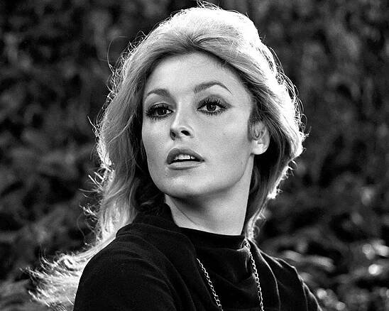 Najkrajšia hviezda Hollywoodu zomrela rukou šialenej SEKTY. Sharon Tate túžila iba priviesť na svet svoje dieťa | iStream.sk