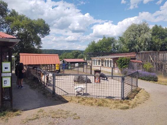 Zvířátkov foto 2
