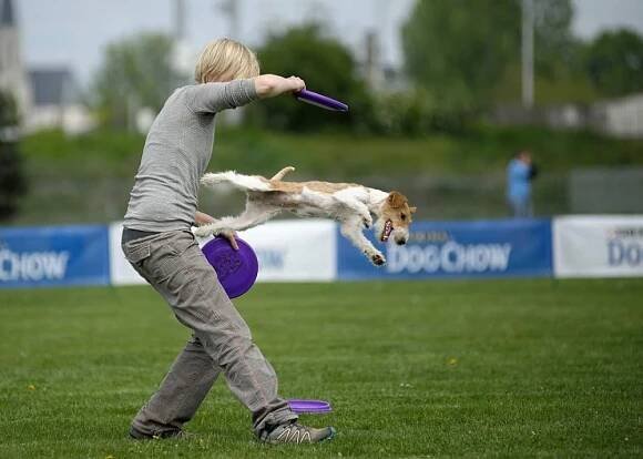 Dogfrisbee aneb Jak to vidí trenéři - 6. díl