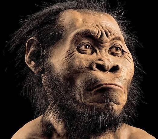  human ancestor species discovered south africa mckenzie pkg_00002221.jpg