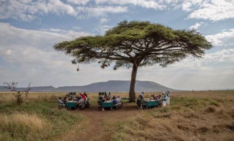 East Africa Incentives - Optional Activities Ngorongoro and Serengeti 