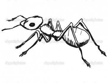 Červený mravenec Stock Vector od © Perysty 47109951