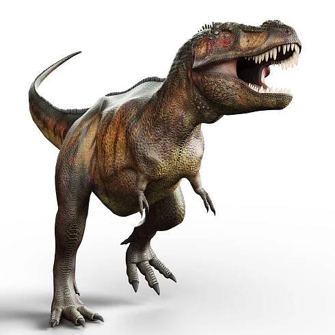 t-rex walking