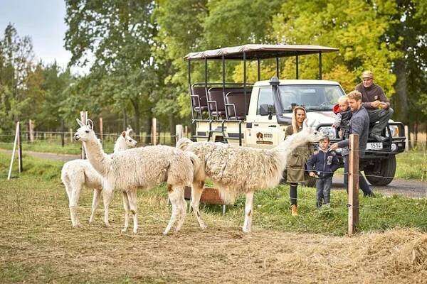 Ubytování na statku: 10 tipů na pobyty na farmě | Slevomat.cz