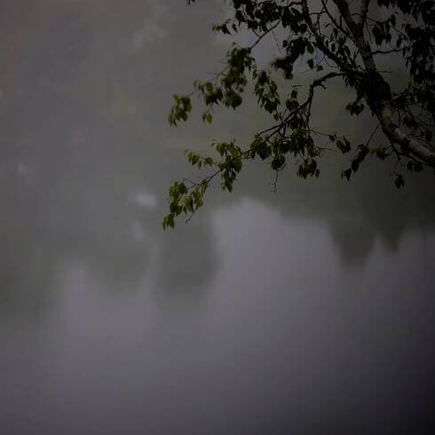 Dena Elisabeth Eber | Home, to the Garden 